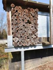 kugelfangumbau-20-003