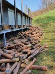 kugelfangumbau-20-005