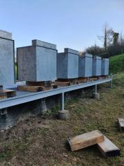 kugelfangumbau-20-014